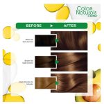 HAIR DYE, LIGHT GOLDEN BROWN COLOR - Image 2