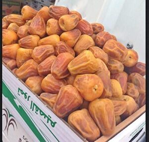 SAUDI SUKKARI DATES - Image 2