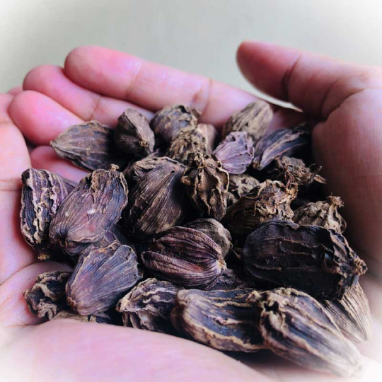 Black Cardamom Black Cardamom