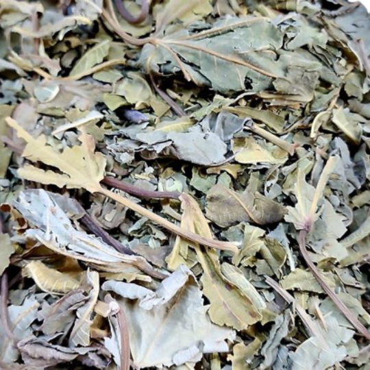 Fig Leaves Dried 250 Gm Fig Leaves Dried 250 Gm