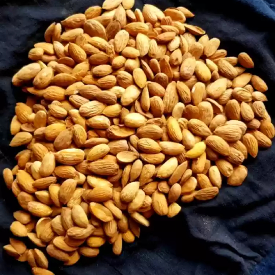 بادام جورباندي الطازج بادام جورباندي الطازج