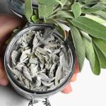 Premium Organic Sage Leaves