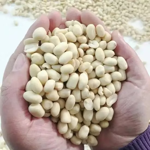 Natural Peanut Kernels