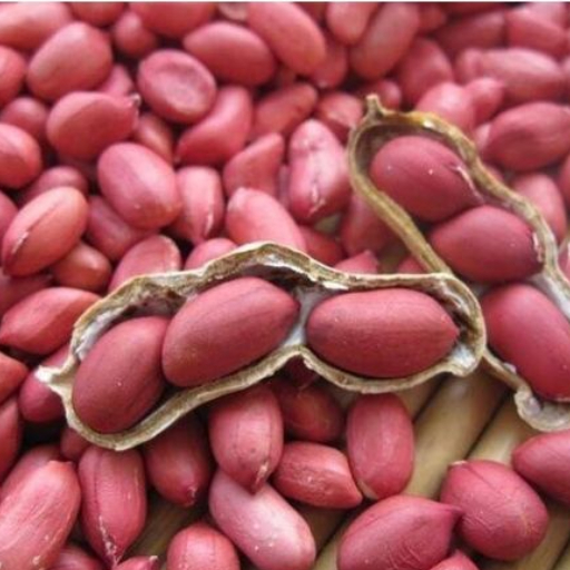 peanuts for snacking peanuts for snacking
